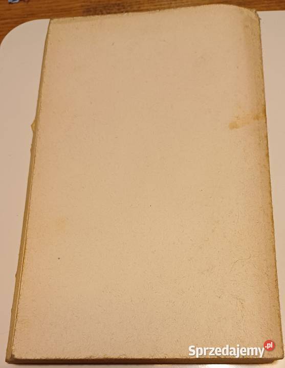 Kot Jerzy Przeździecki sprzedam