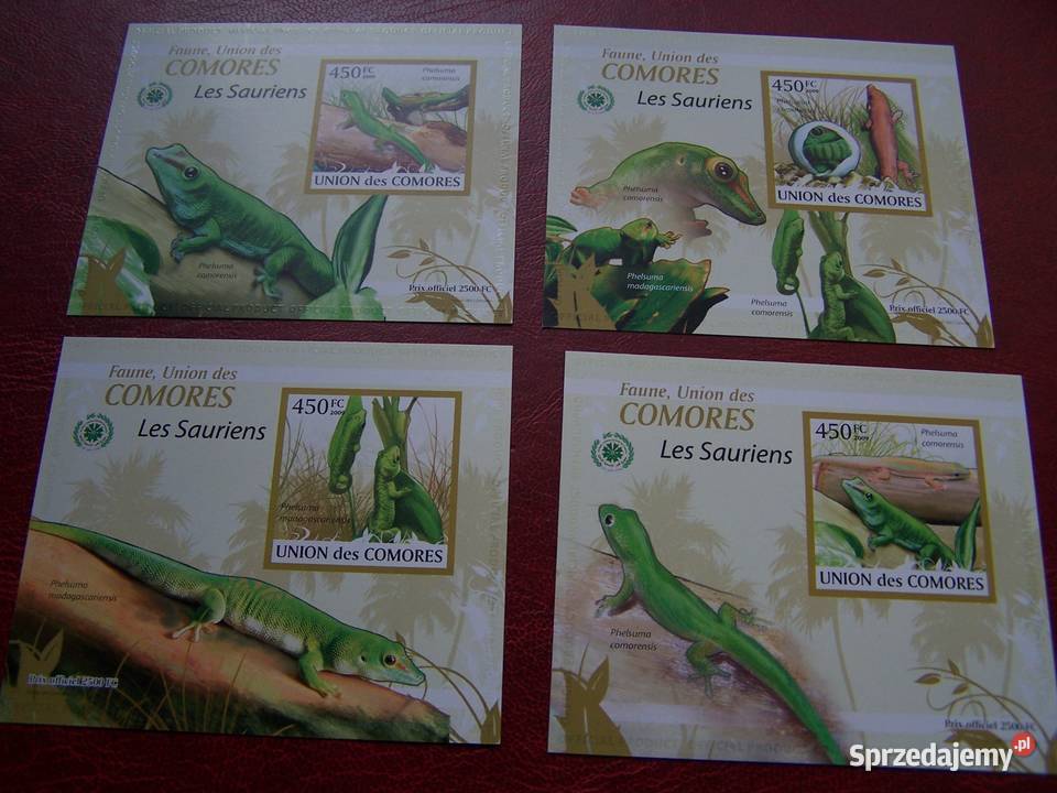 Komory 2009 MNH Fauna Jaszczurki Nakład 2500 śląskie Tychy sprzedam