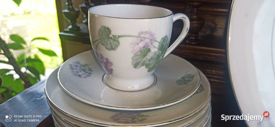 Mlecznik C T Altwasser Germany Hortensje Porcelana i szkło Gdańsk