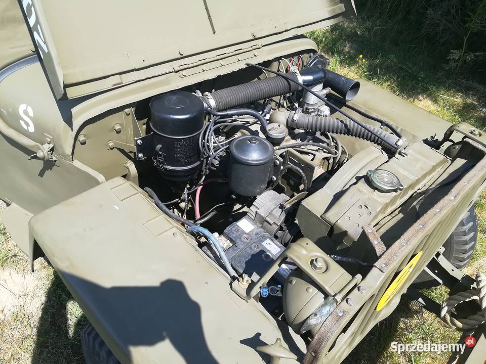 WILLYS MB 1944r Willys Kielno