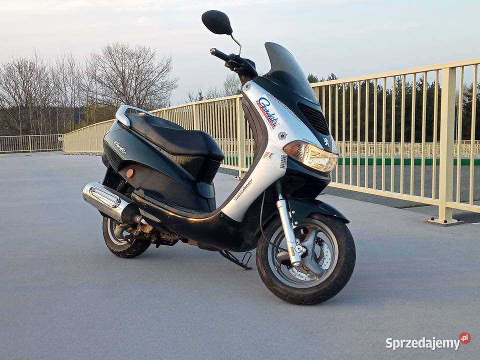 Peugeot Elyseo 125 Krze Duże
