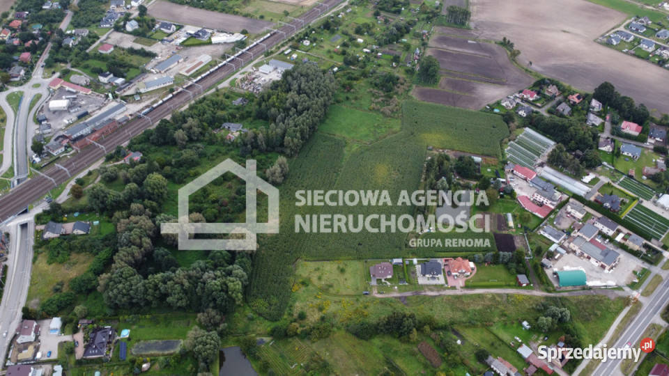 Grunt Pszczółki 3342m2 sprzedam