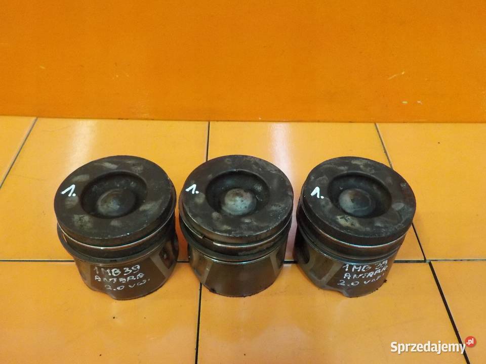 ANTARA CAPTIVA 20 VCDI 13r 163 Z20D1 tlok Z20D Suków