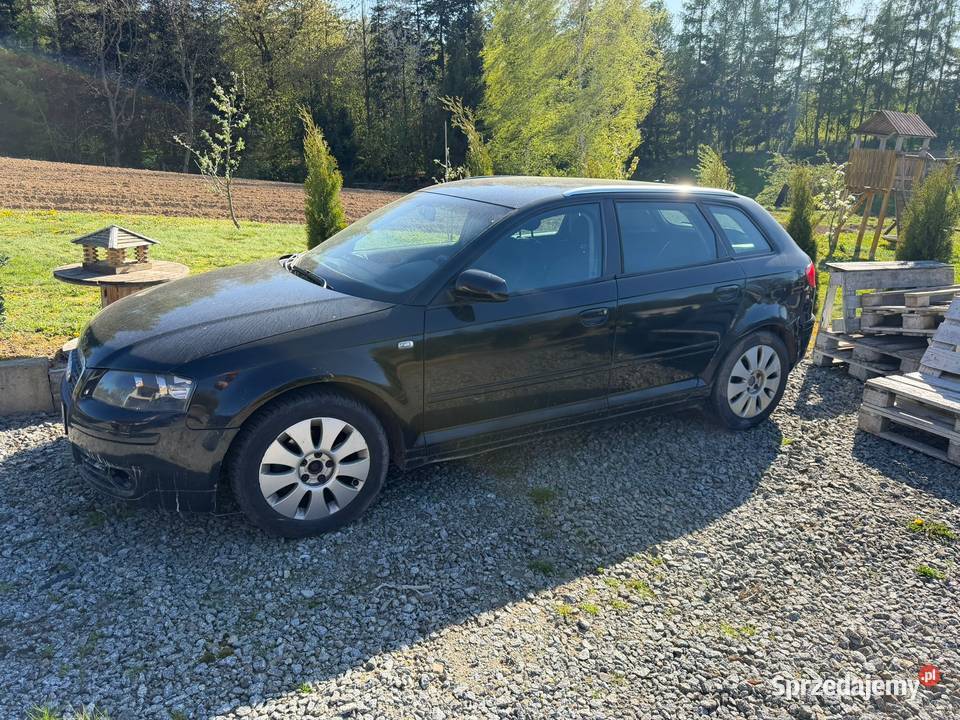Audi a3 8p 20 TDI dolnośląskie Strzelin