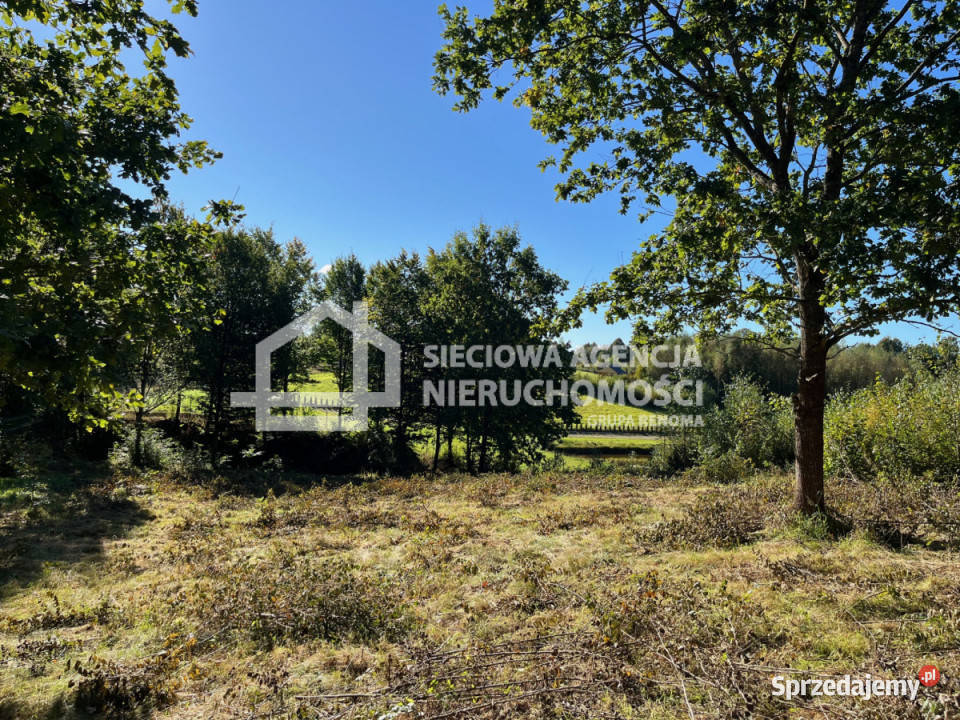 Działka 11494m2 Brodnica Górna sprzedam