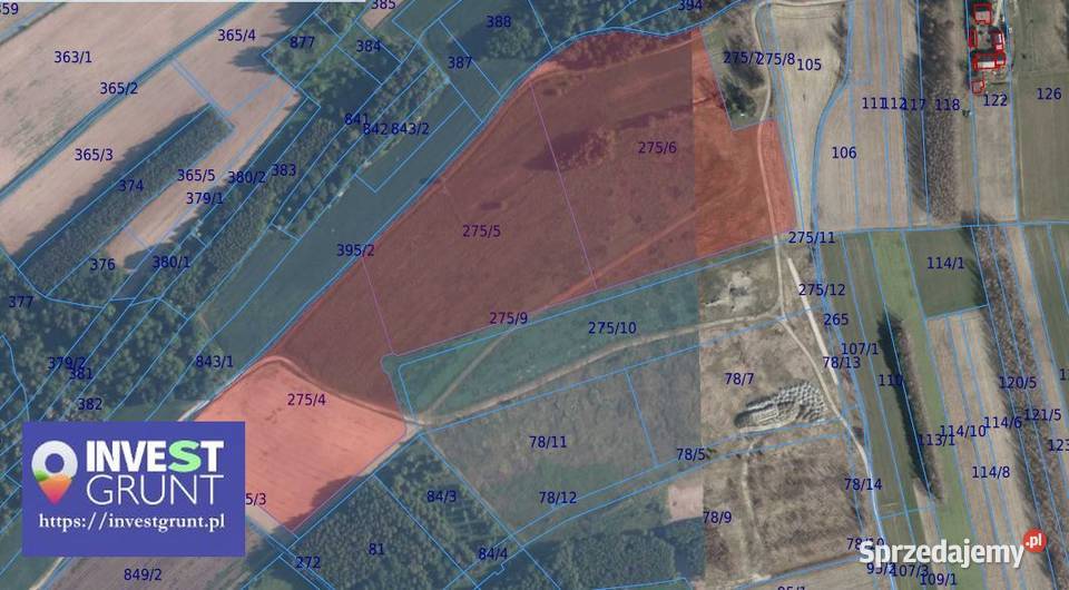 686 ha przetarg na dzierżawę gruntów rolnych małopolskie Morzychna