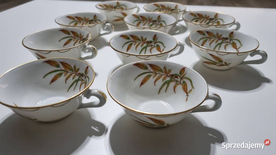 Serwis kawowy 10 osób Porcelana Francuska Wola Podłężna sprzedam