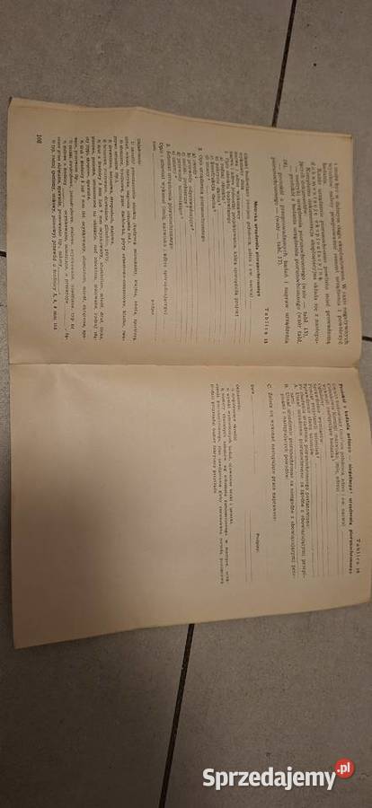 Urządzenia piorunochronne obiektów przemysłowych Łęczyca