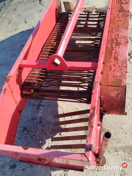 Kopaczka do ziemniaków wyorywacz elewatorowa Tychy