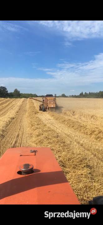 Sprzedam słomę Święty Gaj sprzedam