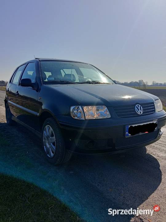 Volkswagen Polo manualna Wiązów