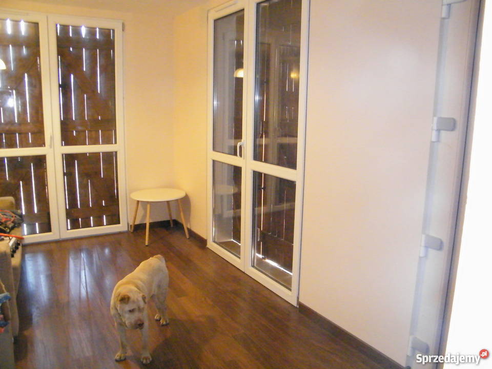 Sprzedam działkę ROD w Mosinie wielkopolskie Mosina sprzedam