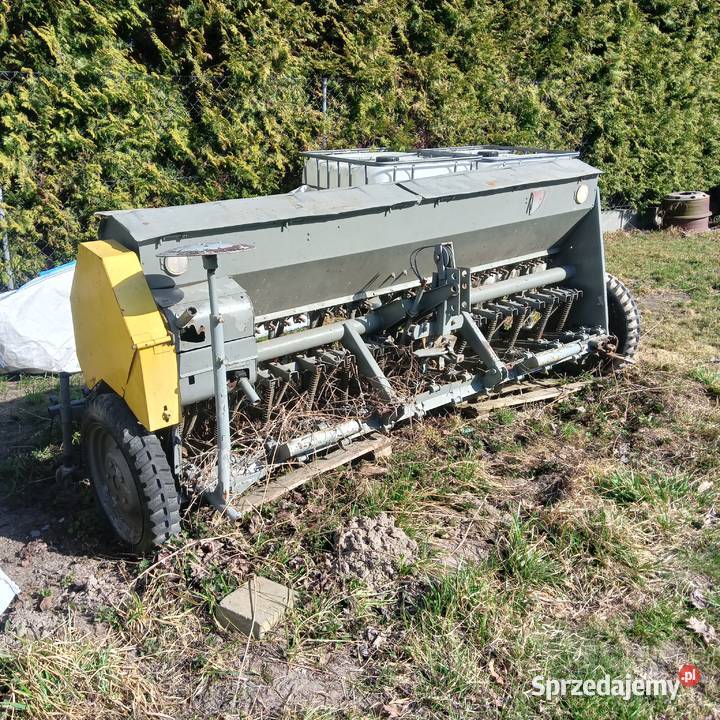 Siewnik poznaniak Rokitno