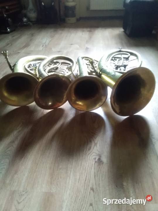 Stary Sakshorn Altowy