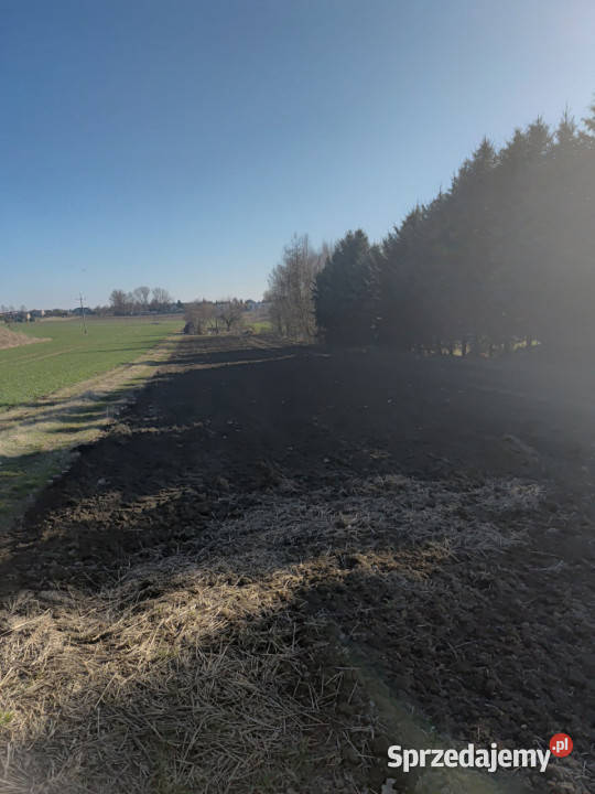 Działka 6393m2 Panieńszczyzna 18m