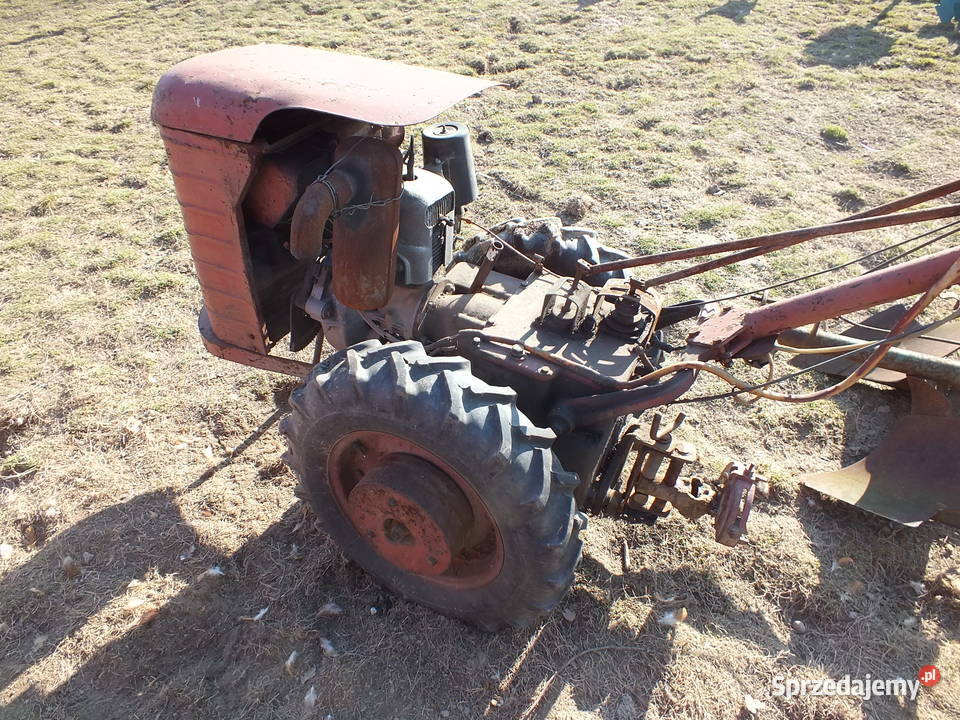 Dzik 221 Sprawny Osprzęt Kurier ŚLĄSK Golasowice