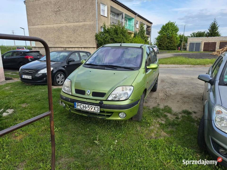 Renault Scenic 2001 r 16 benzyna manualna lubuskie