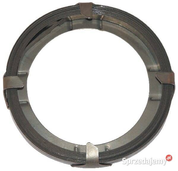 Sprężyna rozrusznika 390066 Kamionna