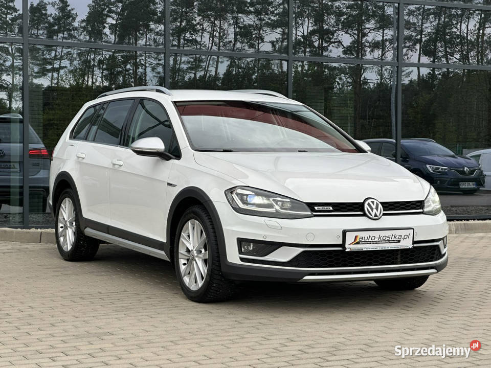 Volkswagen Golf Alltrack Kamera Grzane fotele 199661km opolskie Kąty Opolskie