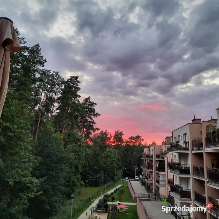 Klimatyczne mieszkanie 52 m2 z widokiem na las własność Olsztyn