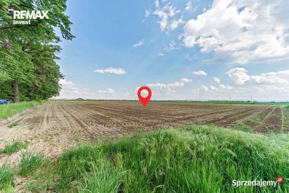 Działka usługowa parku rozrywki w Zatorze 261zł/m2 Sprzedaż Przeciszów sprzedam