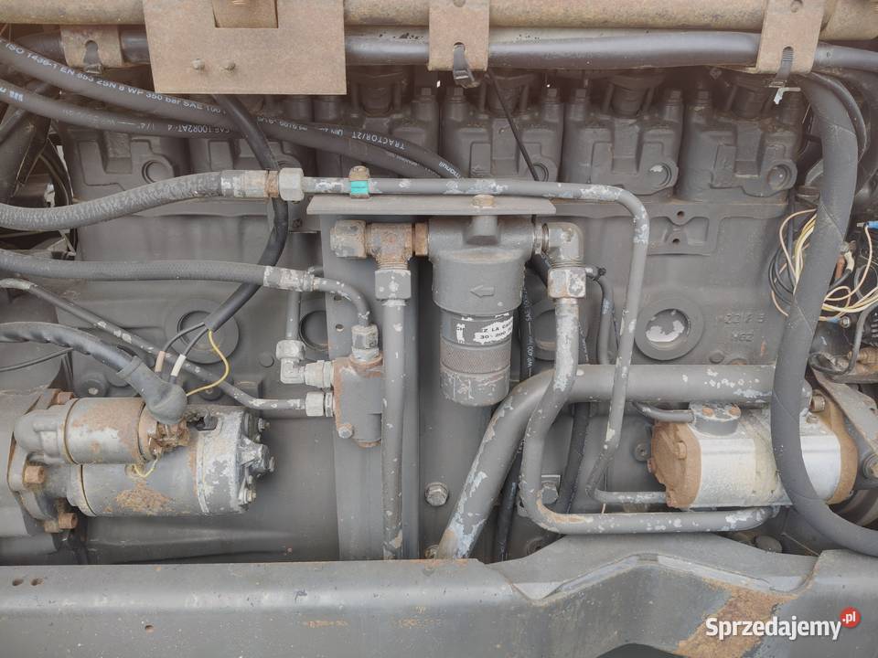 Renault 11054 Renault Zbuczyn sprzedam