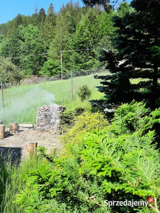 Dom na wynajem firm 100m2