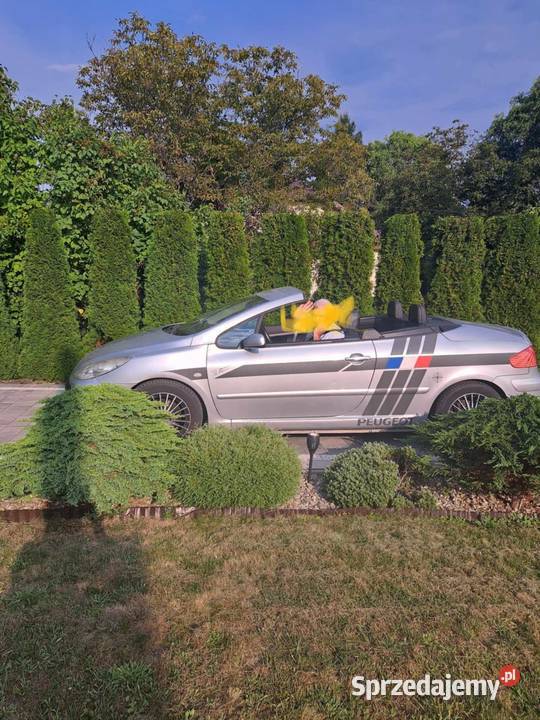 Do sprzedania Peugeot kabriolet 307 cc z 2007 r Kabriolet