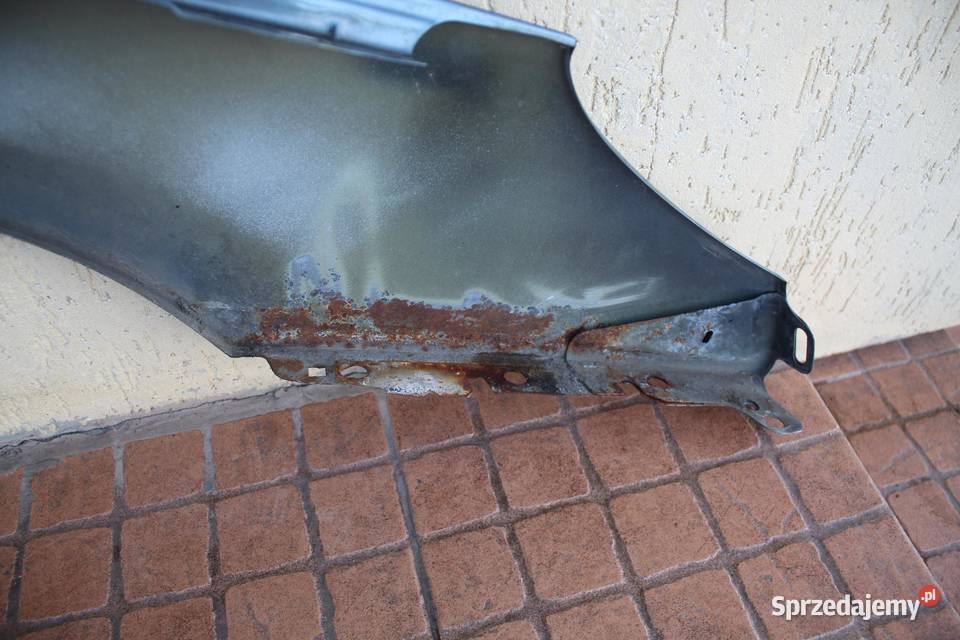 BŁOTNIK LEWY PRZÓD PRZEDNI EZWD PEUGEOT 407 sprzedam