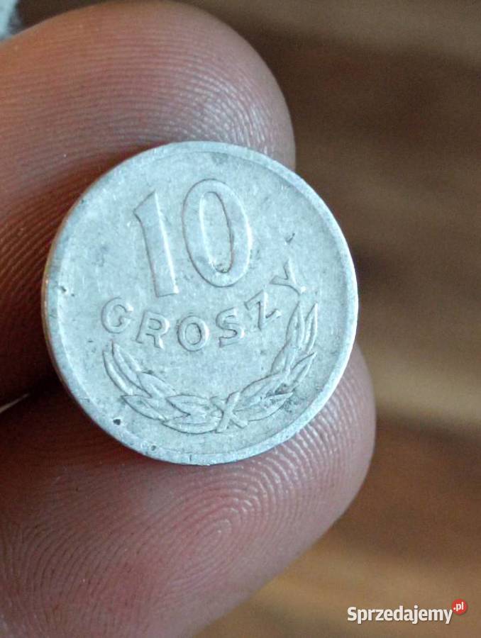 Sprzedam drugie 10 gr 1949 r bzm Chełm