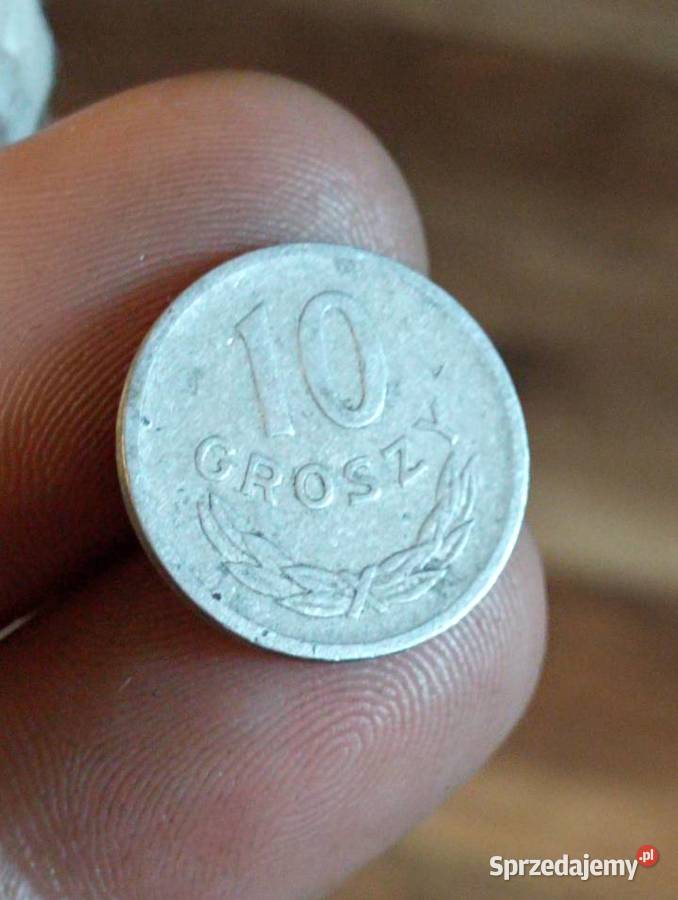 Sprzedam drugie 10 gr 1949 r bzm Chełm