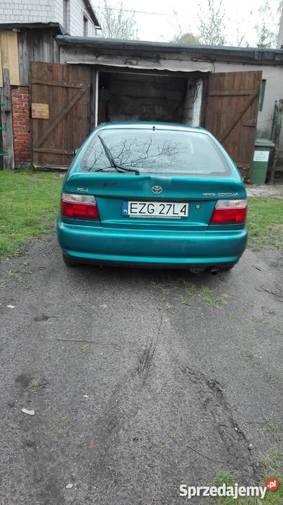 Toyota Corolla e10 Jedyna taka w Aleksandrów Łódzki