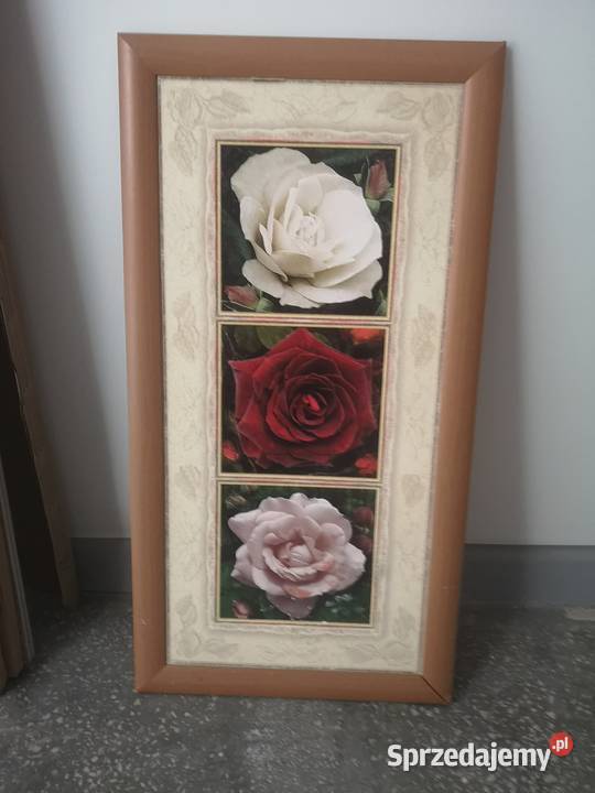 Obrazy że zdjęć 10 do 40 sztukę Wrocław sprzedam