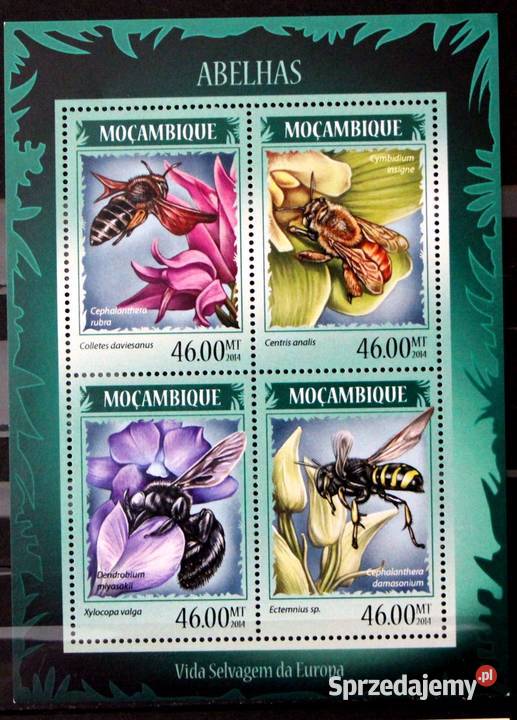 Mozambik pszczoły