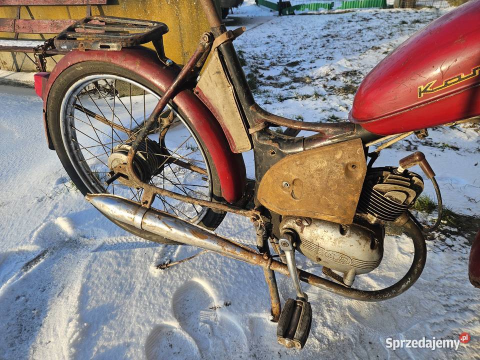 Komar sztywniak 2320 Oryginał Komar Kłodawa