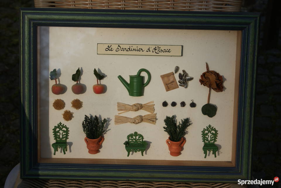 Obraz diorama zielnik herbarium komplet 3