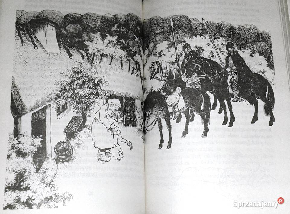 Bracia Lwie Serce Astrid Lindgren miękka lubelskie Chełm