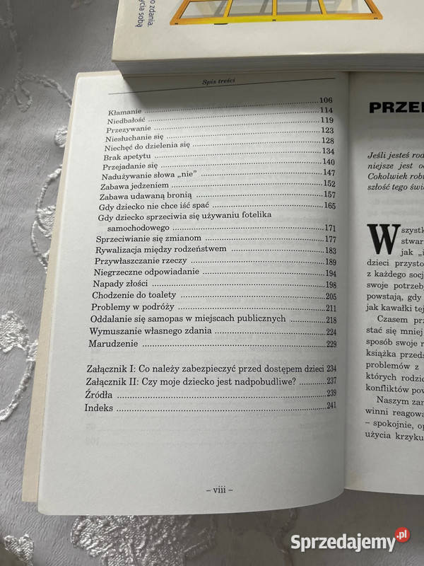 Książka Dyscyplina bez krzyku i bicia śląskie Bielsko-Biała