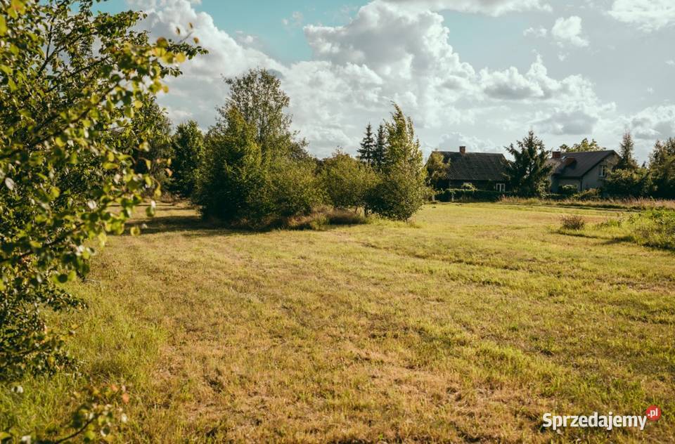 Dom i budynek usługowy 200 m2 działka 4 335 m Domy podlaskie Osipy-Wydziory Pierwsze