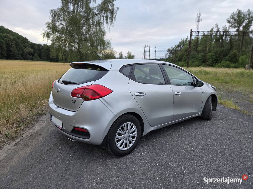 Kia Ceed 16 CRDi S 2013 kupiony w polskim salonie Nowy Kościół