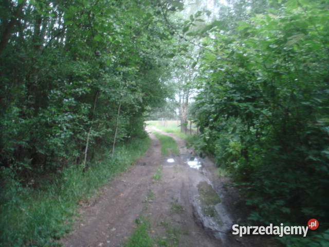 Syndyk sprzeda nieruchomość w miejscowości mazowieckie