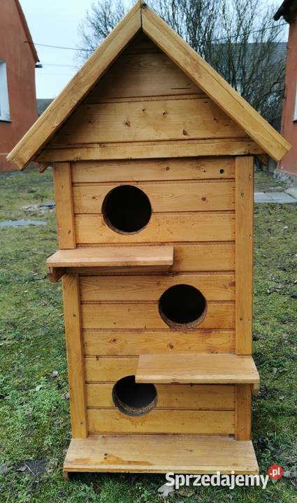 Buda kotów ocieplana Oława