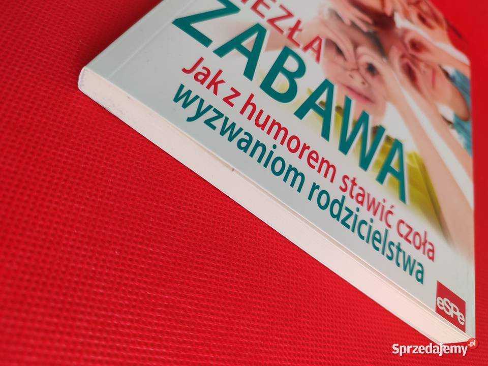 Niezła zabawa stawić czoła wyzwaniom poradnik śląskie Katowice sprzedam