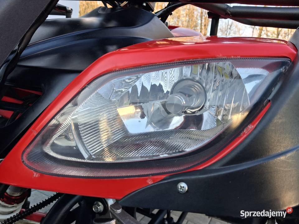 Quad 250 nieuszkodzony Bashan