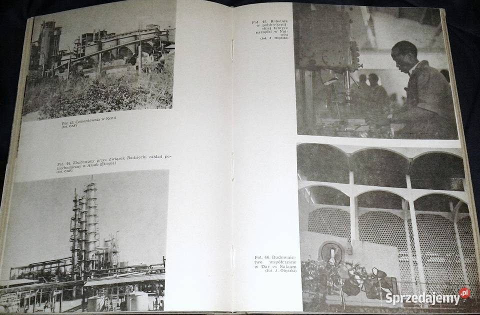 Geografia ekonomiczna Afryki Zbigniew Pozostałe