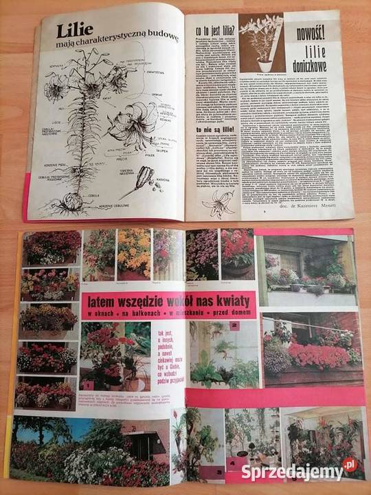 Kwiaty Czasopismo Kwartalnik 1989 PRL Wałbrzych sprzedam