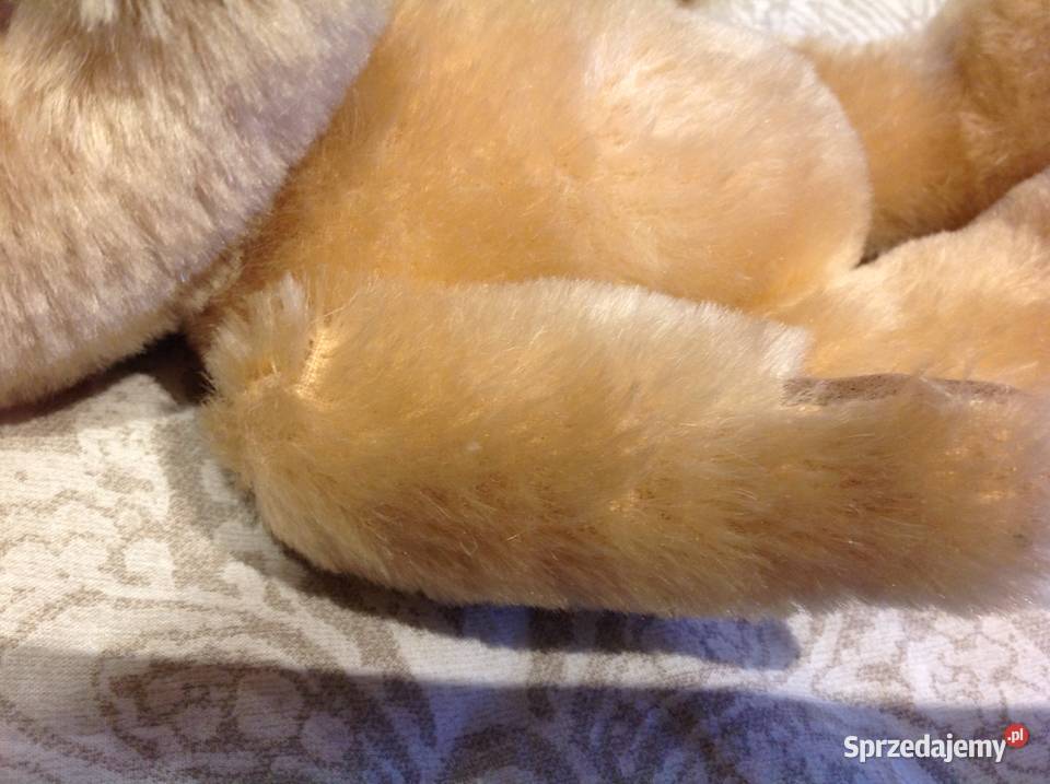 Moherowy Misiu Mohair Collektion Grisly j nowy Nowa Sól sprzedam