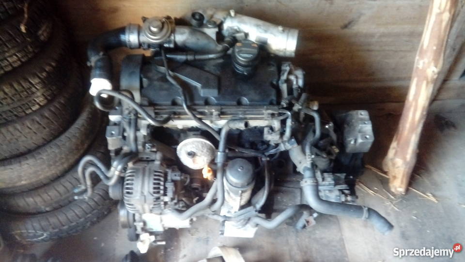Silnik 19 TDI asz 130 lubelskie Frampol sprzedam