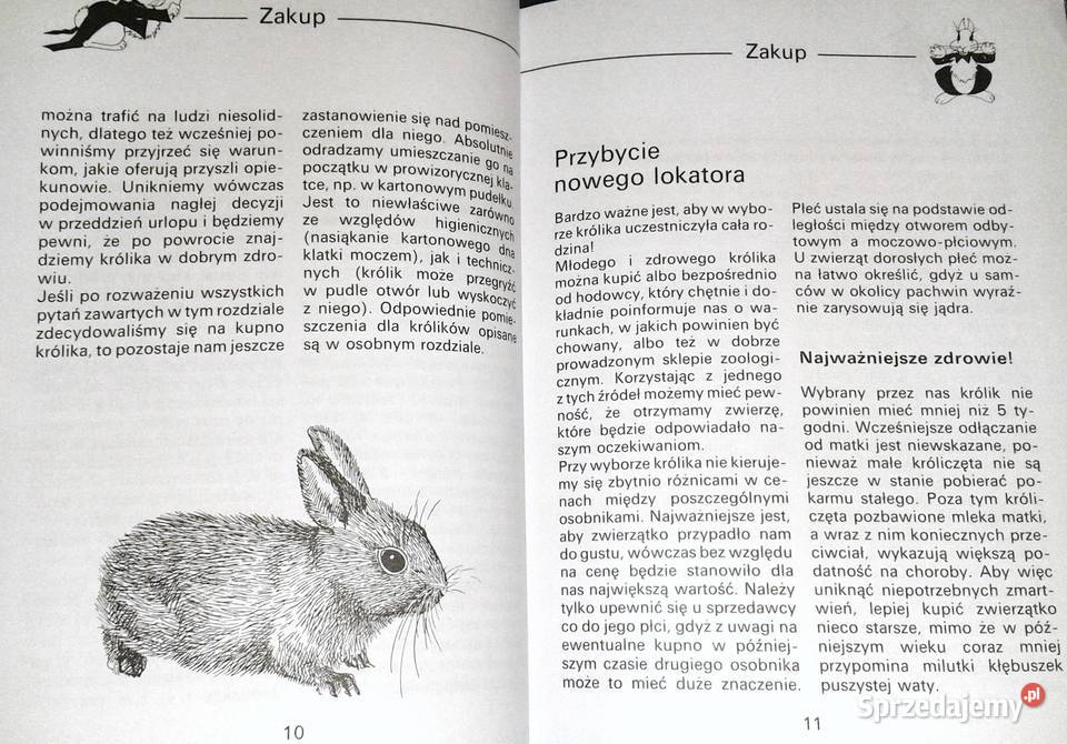 Królik miniaturowy Andrea Dieker Jutta Steinkamp Chełm
