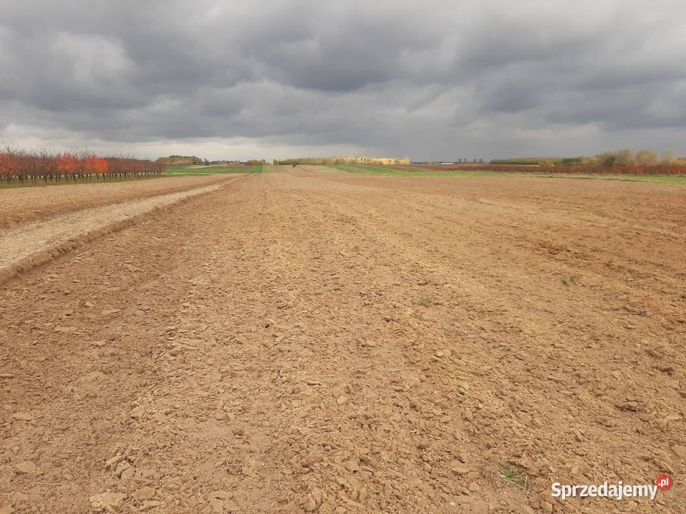 Pług 4 skibowy Rzeczniów